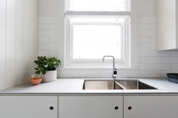 Doppelspüle in weißer Küche mit Pflanze